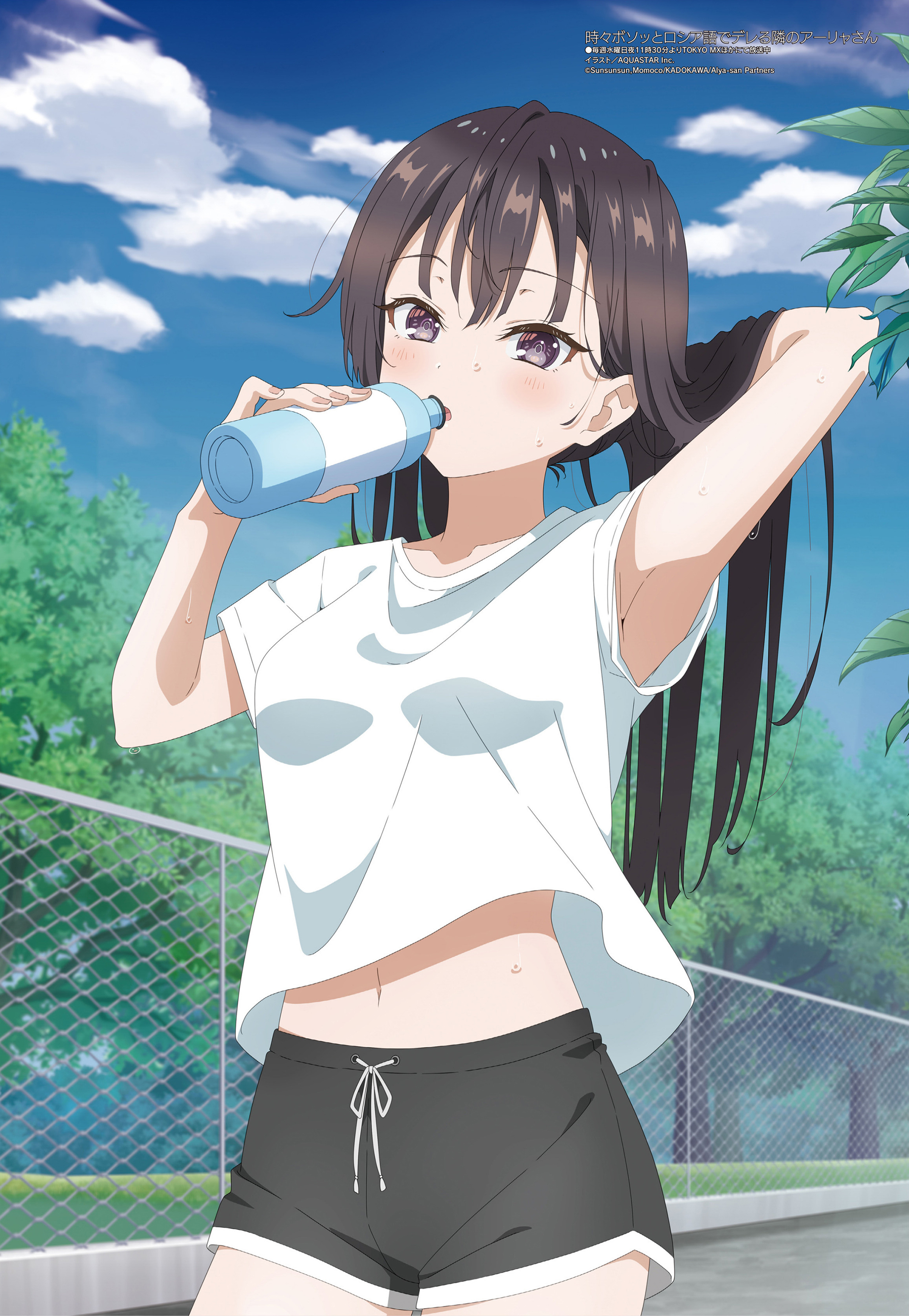 Funfact Companion: Yuki Suou